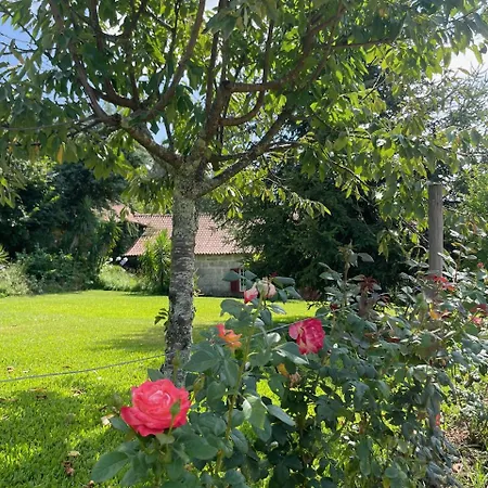 Quinta De Segade *
